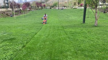 62619ceb-d50d-4e03-81de-e40ce6c569a1